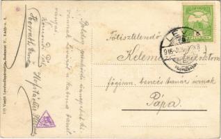 1916 Léva, Levice; várrom. Vasúti levelezőlapárusítás 619. / castle ruins (fl)