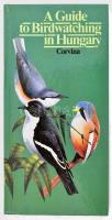 Gerard Gorman: A Guide to Birdwatching in Hungary. Bp., 1990, Corvina. Fekete-fehér képekkel illusztrálva. Angol nyelven. Kiadói kartonált papírkötés.