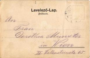 Pozsony, Pressburg, Bratislava; Megérkezés Pozsonyba, vár, gőzhajó / Ankunft in Pressburg / castle, ...