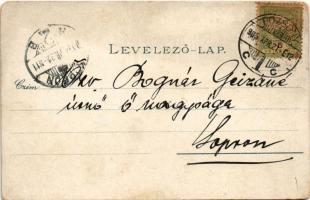 1905 Pozsony, Pressburg, Bratislava; Vaskutacska fürdő / Eisenbrünnel (Eisenbründl) / Zelezná Studie...