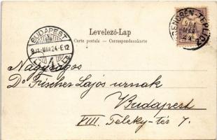 1901 Trencsénteplic, Trencianske Teplice; fürdő reklámja / spa advertisement (EK)