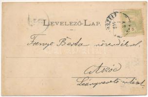 1904 Tápiószele, Dr. Földes kastély. Hoffer Sámuel és fia kiadása (fl)