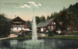 Miedzygórze (Wölfelsgrund) Hotel Vivacity  with fountain (EK)