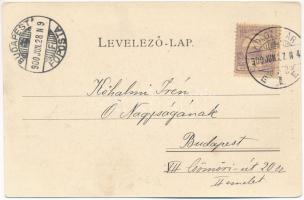 1900 Csucsa, Ciucea; Lázár Villa. Dunky Fivérek / villa