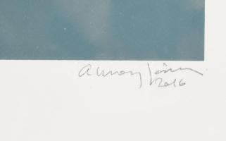 Aknay János (1949-): Emlék. Szitanyomat, papír, jelzett, 11/30 számozással. 47x40 cm. Üvegezett, kis...