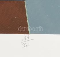 Aknay János (1949-): Emlék. Szitanyomat, papír, jelzett, 11/30 számozással. 47x40 cm. Üvegezett, kis...