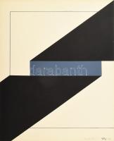 Nádler István (1938-): Átlós kompozíció (cím nélkül), 1972-76. Szitanyomat, papír, jelezve jobbra lent. Nádler István 77-78 mappából. 34,5x28,5 cm.