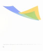 Maurer Dóra, Prosek Zoltán (szerk.): Nyílt Struktúrák Művészeti Egyesület. Bp., 2006, Nyílt Struktúr...