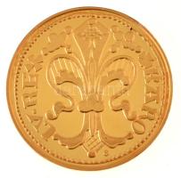 DN "Magyar aranypénzek utánveretben - Károly Róbert aranyforint" aranyozott Ag emlékérem k...