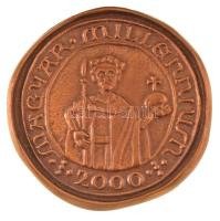 Asszonyi Tamás (1942-) 2000. "Magyar Millennium" kétoldalas bronz emlékérem dísztokban (~53mm) T:UNC