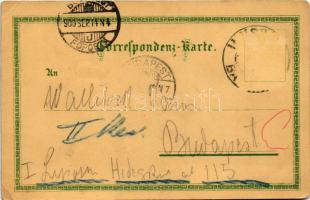 1900 Innsbruck (Tirol), Maria-Theresienstrasse / street view. Verlag v. Fritz Gratl litho (EK)