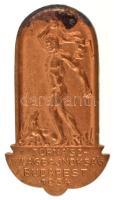 1934. Tornász Világbajnokság Budapest 1934 aranyozott bronz gomblyukjelvény Cserkészbolt V. N Sándor u.6. gyártói jelzéssel (30x16mm) T:XF szennyeződés