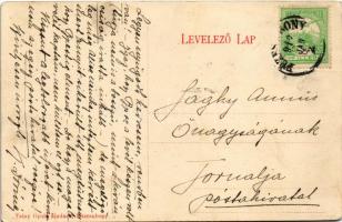 1912 Füzesabony, utca részlet az érsekuradalmi tiszti lakkal. Tatay Gyula kiadása (EK)