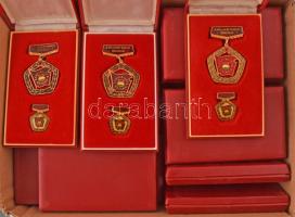 Közepes doboznyi "Szocialista Brigád" kitüntetés miniatűrőkkel, tokokban T:AU
