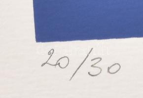 Halász Szabó Sándor (1920-1997): Hullámzó formák. Szitanyomat, papír, jelzett, számozott (7/30), 42x...