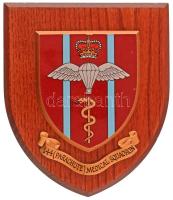 Nagy-Britannia DN "144. Ejtőernyős mentős alakulat" festett fa plakett hátoldalán akasztóval (178x154mm) T:AU Great Britain ND "144 Parachute Medical Squadron" painted wooden plaque with hanger on its back (178x154mm) C:AU