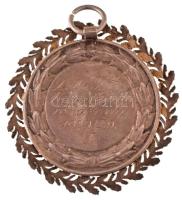 1929. Jelzett Ag birkózó díjérem "SGA" gyártói jelzéssel, "D. M. T. E. Kovács Gyula v...
