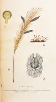 Giovanni Rudolf - Szathmáry Géza: Gyógynövényeink. Bp., 1958, Mezőgazdasági. Kiadói félvászon-kötés,...