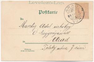 1899 (Vorläufer) Gruss aus Arad / Népviseletes hölgy üdvözlőlapon / Greetings from... Folklore lady....
