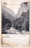 1901 Herkulesfürdő, Baile Herculane; Cserna-völgy. R. Krizsány kiadása / Csernathal / Cerna Valley (EM)