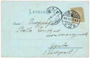 1903 Nagyvárad, Oradea; M. kir. Honvéd hadapródiskola este. Lang József kiadása / K.u.k. military ca...