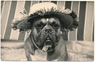 17 db MODERN fekete-fehér állatos motívum képeslap / 17 modern black and white animal motive postcar...