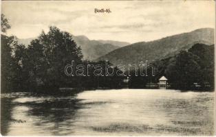 Nagybánya, Baia Mare; Lacul Pintea / Bódi tó. Dácsek Péter kiadása / lake (fl)