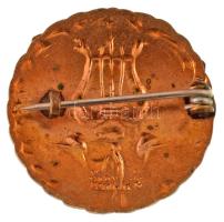 ~1920-1930. "Óbudai Hegyvidéki Szövetség" zománcozott bronz jelvény, hátoldalán "Morz...