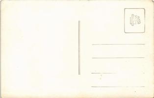 Nagybánya, Baia Mare; látkép / general view. photo