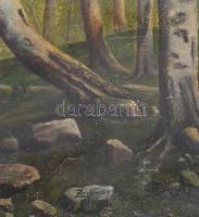 Zorkoczy jelzéssel: Csónakázók. Olaj, karton. 40x55 cm. Dekoratí, sérült fakeretben