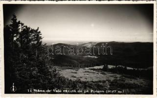 Biharfüred, Stana de Vale, Stina de Vale; Vazuta de pe Poiana / látkép / general view