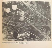 Csizmadia László, Ficzek Ferenc, Gellér B. István, Pinczehelyi Sándor, Valkó László. Budapest, Fénye...