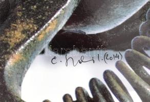 E. Szabó István (1946-): Hát ez (hogy jön ide)?, 2014. Fotó, digitális nyomat, karton. Jelzett. 70×5...