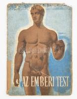 cca 1940 Az emberi test, Bayer gyógyszergyár képes ismertető prospektus, Bp., Klösz-ny., viseltes állapotban, 16x11 cm