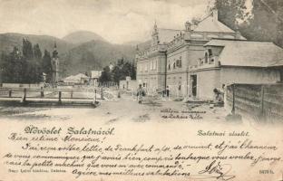 Zalatna Lukács Béla`s new house (Rb)