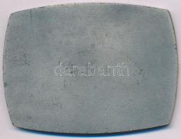 1967. "75 éves az Országos Magyar Bányászati és Kohászati Egyesület" ezüstözött bronz plak...