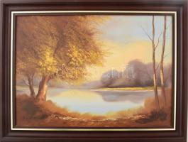 Solymos Tamás Géza (1954-): Októberi holtág. Olaj, farost, jelezve jobbra lent, fakeretben, 36,5×51,5 cm