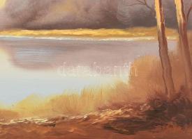 Solymos Tamás Géza (1954-): Októberi holtág. Olaj, farost, jelezve jobbra lent, fakeretben, 36,5×51,...