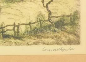 Conrad Gyula (1877-1959): Dunakanyar Szentendrénél. Színezett rézkarc, papír, jelzett, üvegezett fak...