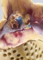 Retro iparművész virágos asztaldísz, jelzés nélkül, kis kopással, m: 21 cm