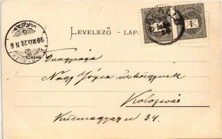 1899 (Vorläufer) Gödöllő, Petőfi tér. Pick Testvérek Műintézete kiadása (fl)