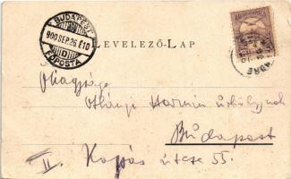 1900 Szentendre, Szent-Endre; látkép (EB)