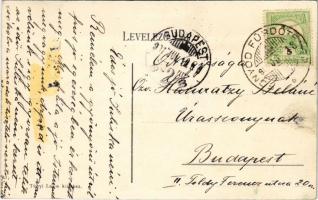 1907 Fonyód, Sirály szálloda. Tényi Lajos kiadása (EK)