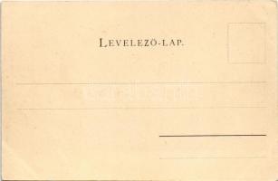 Miskolc, Erzsébet tér, Kereskedelmi kamara. Ferenczi B. kiadása (ázott sarok / wet corner)