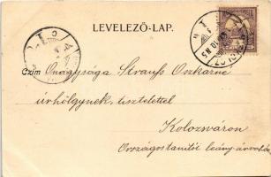 1901 Miskolctapolca, Görömbölytapolca, Görömbölyi-Tapolca, Tapolca (Miskolc); Tó részlet. Ferenczi B...