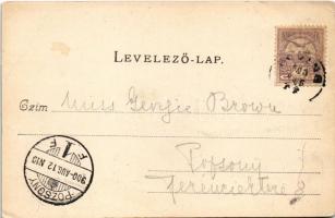 1900 Siófok, Fürdőház, fürdőzők. Divald Károly 204. sz. (EK)