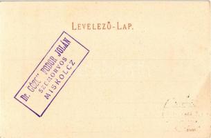 Borsod megyei népviselet, Matyó menyecskék. Ferenczi B. (Miskolc) kiadása (fa)