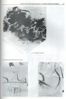 Nemzetközi "Kísérleti Művészet" kiállítás Budapest 1985. International "Expermental A...