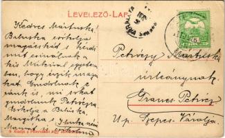 1911 Pétervására, Gróf Keglevich kastély. Fogyasztási szövetkezet kiadása (EK)