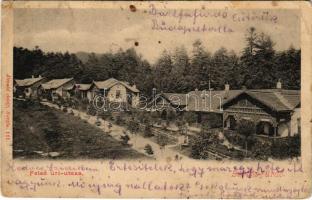 1904 Bártfa, Bártfafürdő, Bardejovské Kúpele, Bardiov, Bardejov; Felső Úri utca, nyaralók. Divald Adolf 111. / street view, villas, spa (EB)